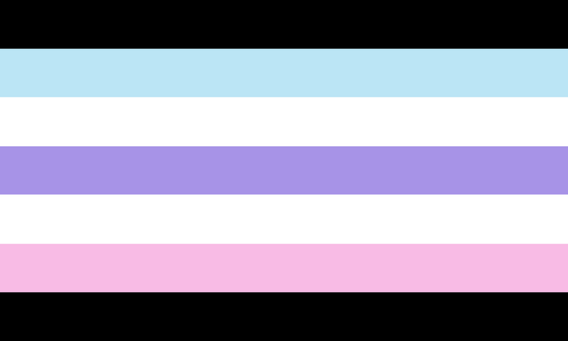 File:Androgyneflag2.png