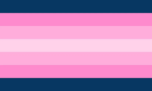 Transfeminine flag11.jpg