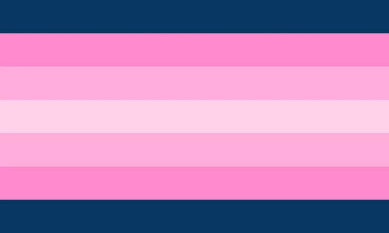 File:Transfeminine flag11.jpg