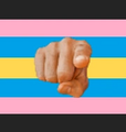 Alternate Yougender Flag by Tumblr suer breakfastt[1]
