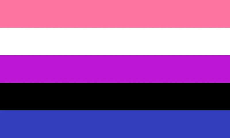 File:Genderfluidflag.jpg