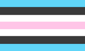 Third alternate flag of Tomboy gender identity