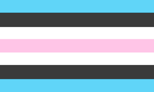 Second alternate Tomboy flag.png