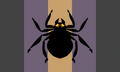 Spiderneutral flag by Tumblr user nidoskull[1]