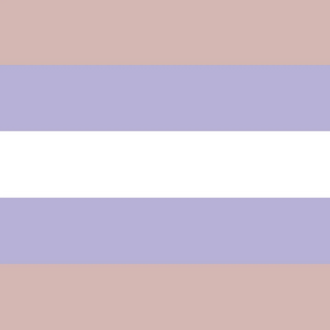 Transfem flag26.jpg