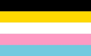 5frogtrenchcoat fluidflux flag1.jpg