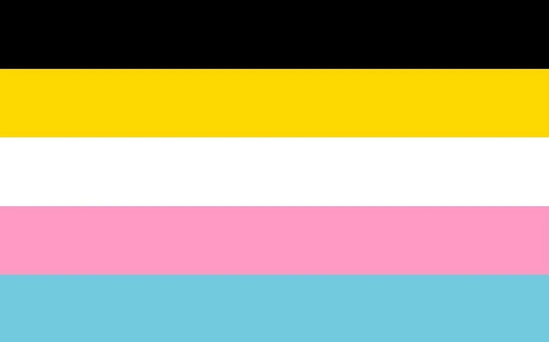 File:5frogtrenchcoat fluidflux flag1.jpg