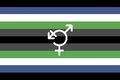 Fourth Detransition Flag by Floweroftruth[7]