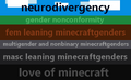 Original Minecraftgender flag stripe meanings[1]