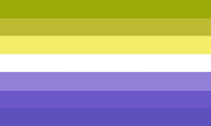 Zoxygender flag.png