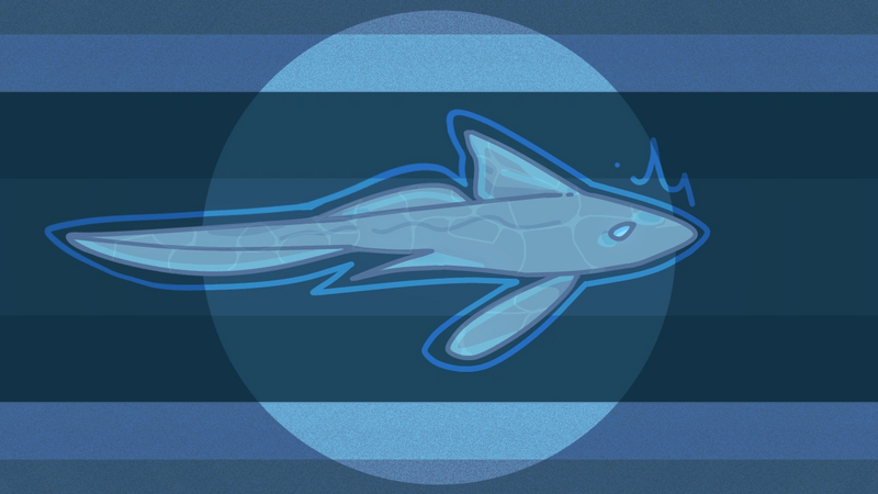 File:Ghostshark1.png