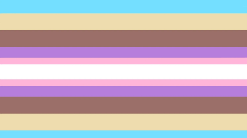 File:Multitrans flag .jpg