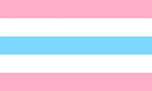 Transfeminine flag6.jpg