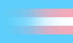 Amab revealgender.webp