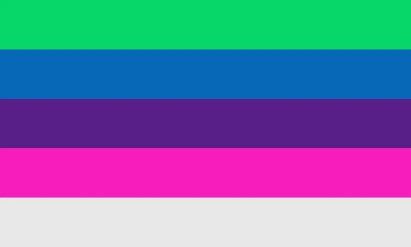 File:Genderpoly by pride flags dchc2qr-pre.jpg