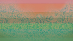 First alternate flag