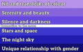 Alternate Moongender Flag with Color Meanings by X user @XenicLuvs[8]