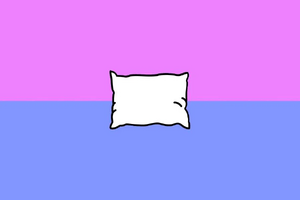 Pillowgender.webp