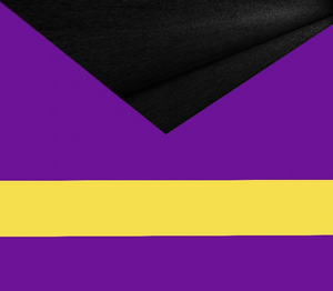 Tessabergmeiergender Flag.png