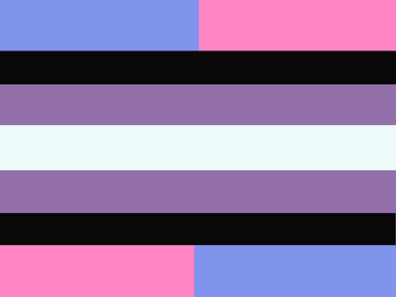 File:Pseudogenderflag.png