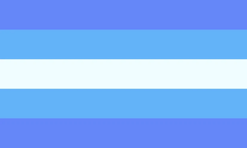 File:Transmasc flag 13.jpg