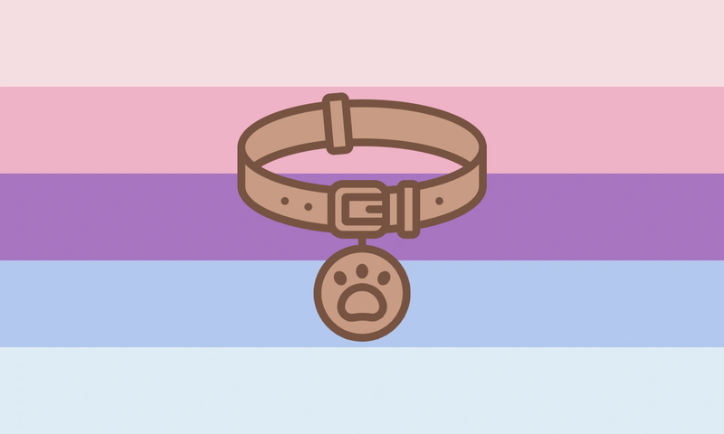 File:Bestkittypetgenderflag.webp