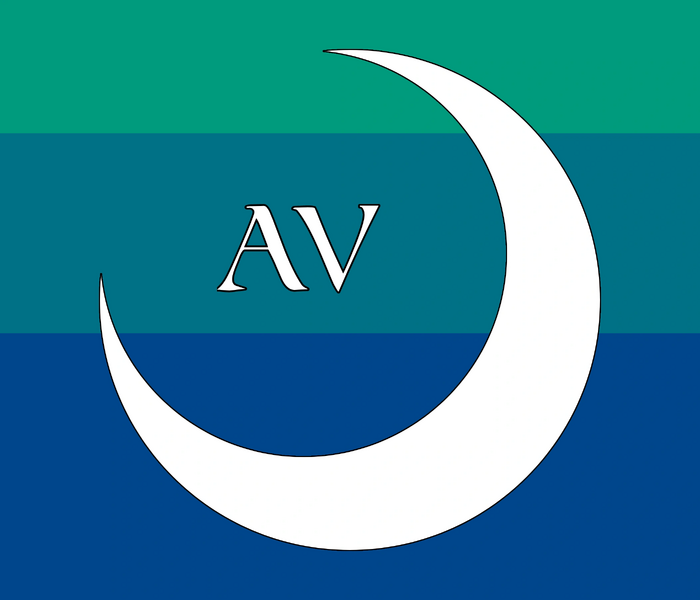 File:Avm.png
