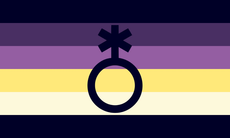 File:Enby 3.jpg