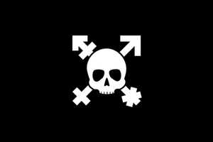 Gender piracy flag.png