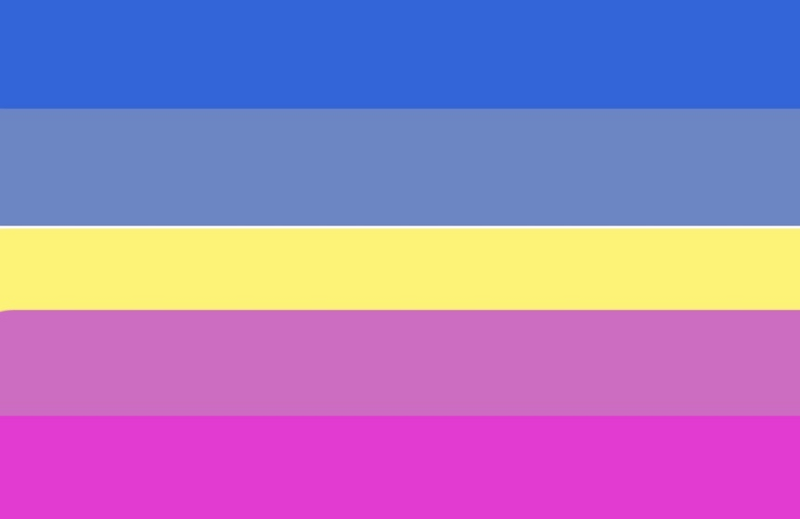 File:Petgender alternative flag.png