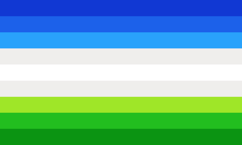 File:Sims4gamic flag 2.png