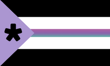 Alternative *gender flag