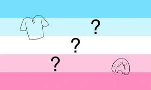 Presentationgender flag 