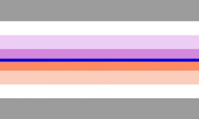 File:Paraandrogyne .jpg