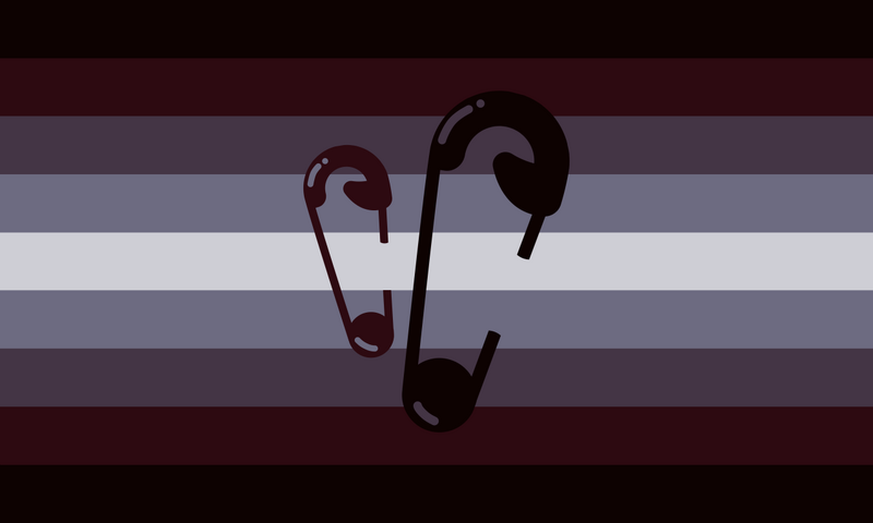 File:Pinholdic flag.png