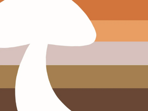 Shroom Gender System Flag.webp