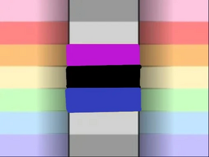 Demiminifluid flag.jpg