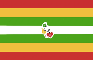 Alternate flag