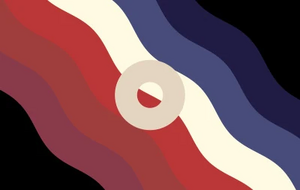 Palettegender 29.jpg