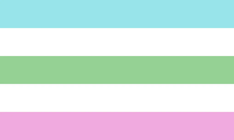File:Transneutral flag by silencethefox.jpg