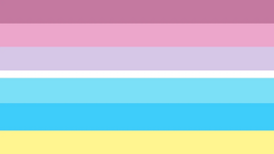 Bigenderflux Flag.jpg