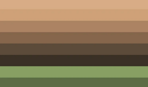 Bohere magickal cat Gothacthic flag alt 2.png