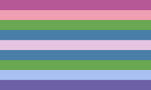 Biarogender flag.png