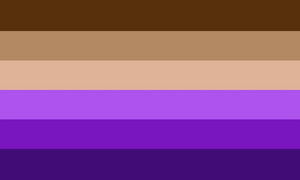 Biblioique Flag (No Icon).jpg