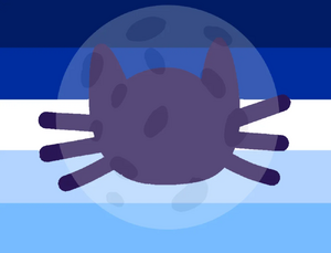 Mooncatgender.webp