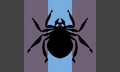 Spiderboy flag by Tumblr user nidoskull[1]