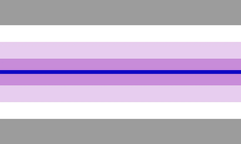 File:Paraboy Pride Flag.jpg