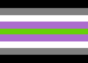 Agenderflag.png