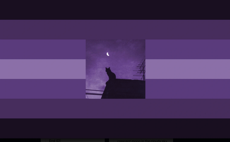 File:Invipurplecatrooftop.png