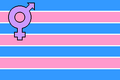 Transsexual male pride flag by Johnathan Andrew[6]